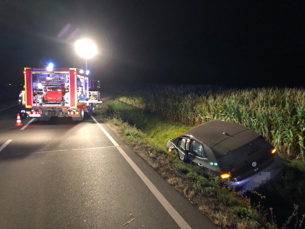 PKW gegen Baum