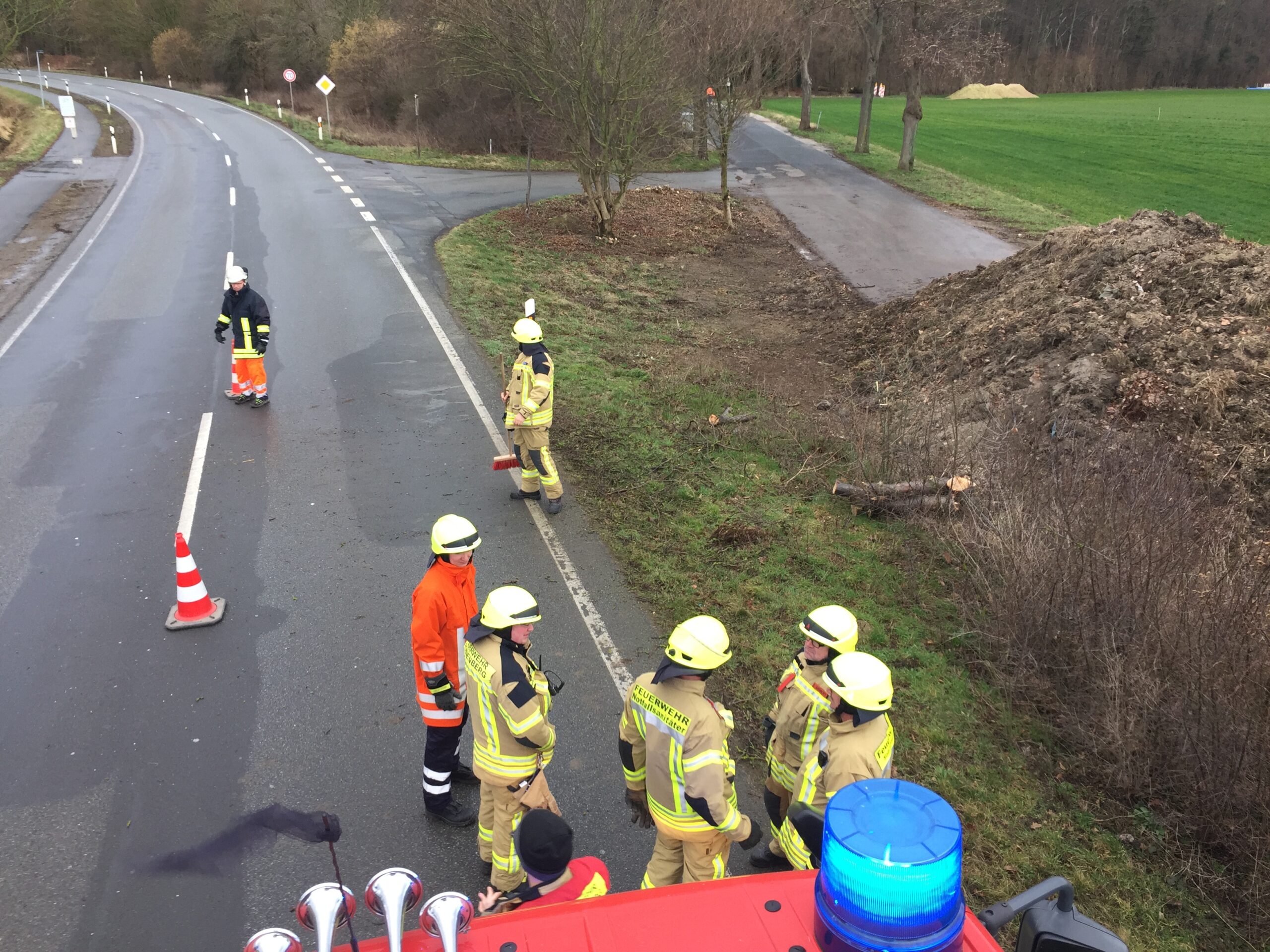 Ast auf Straße