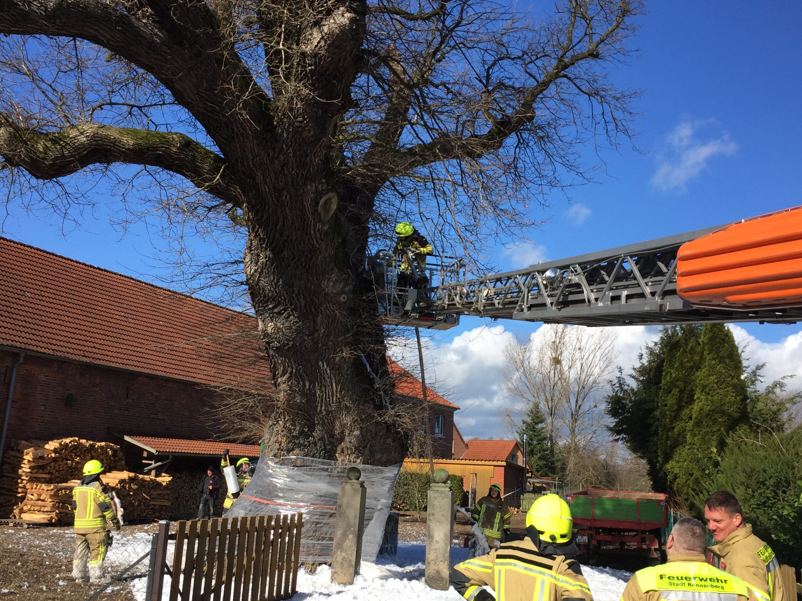 Blitz in Baum – Rauchentwicklung