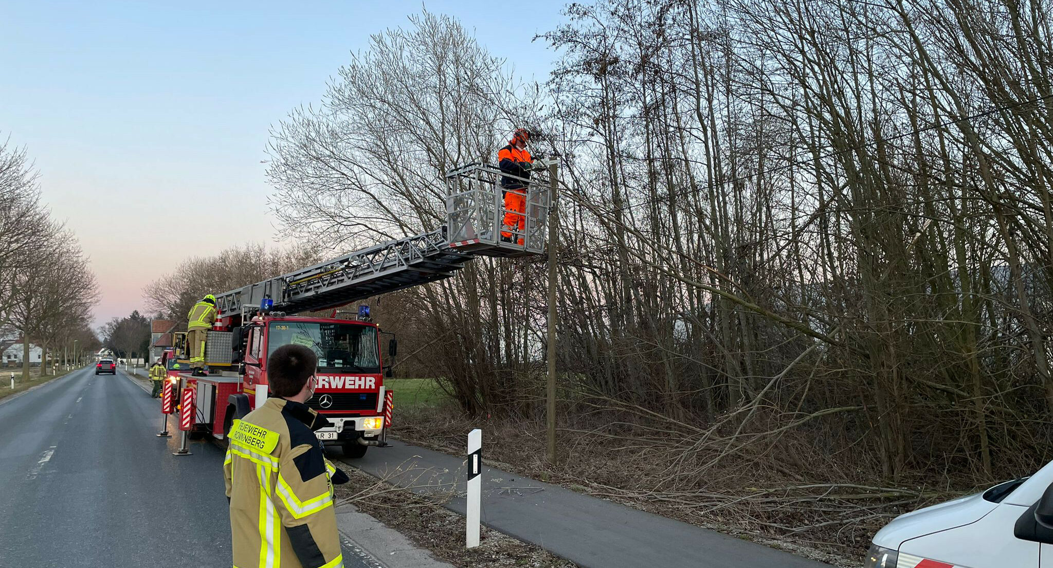 Baum auf Stromleitung