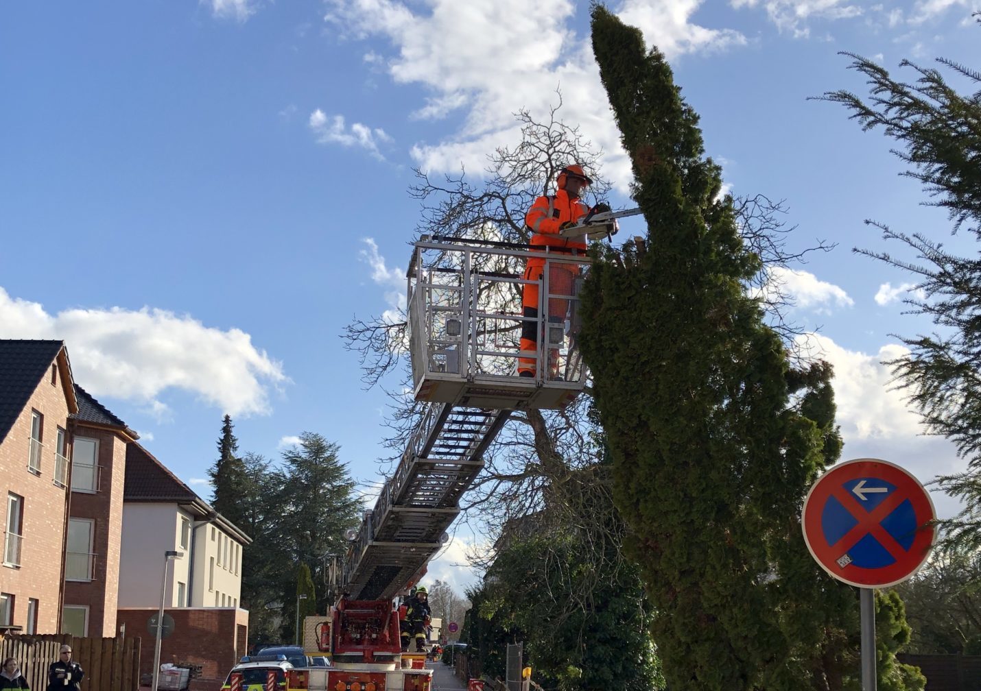 Baum droht auf Straße zu fallen