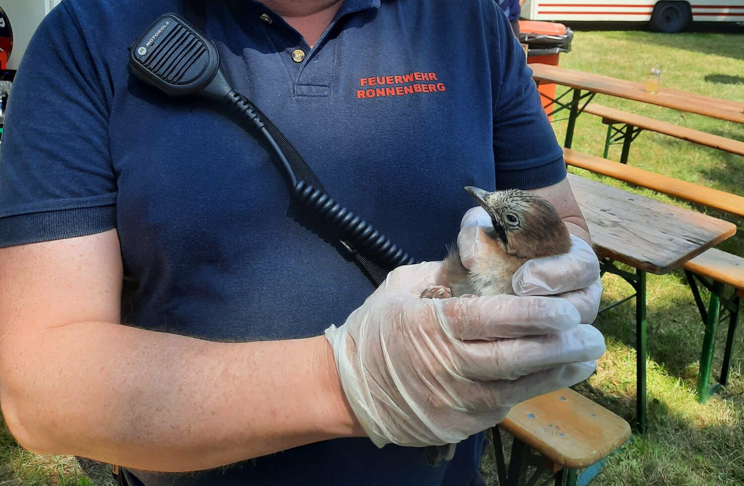 Vogel auf Tanzfläche