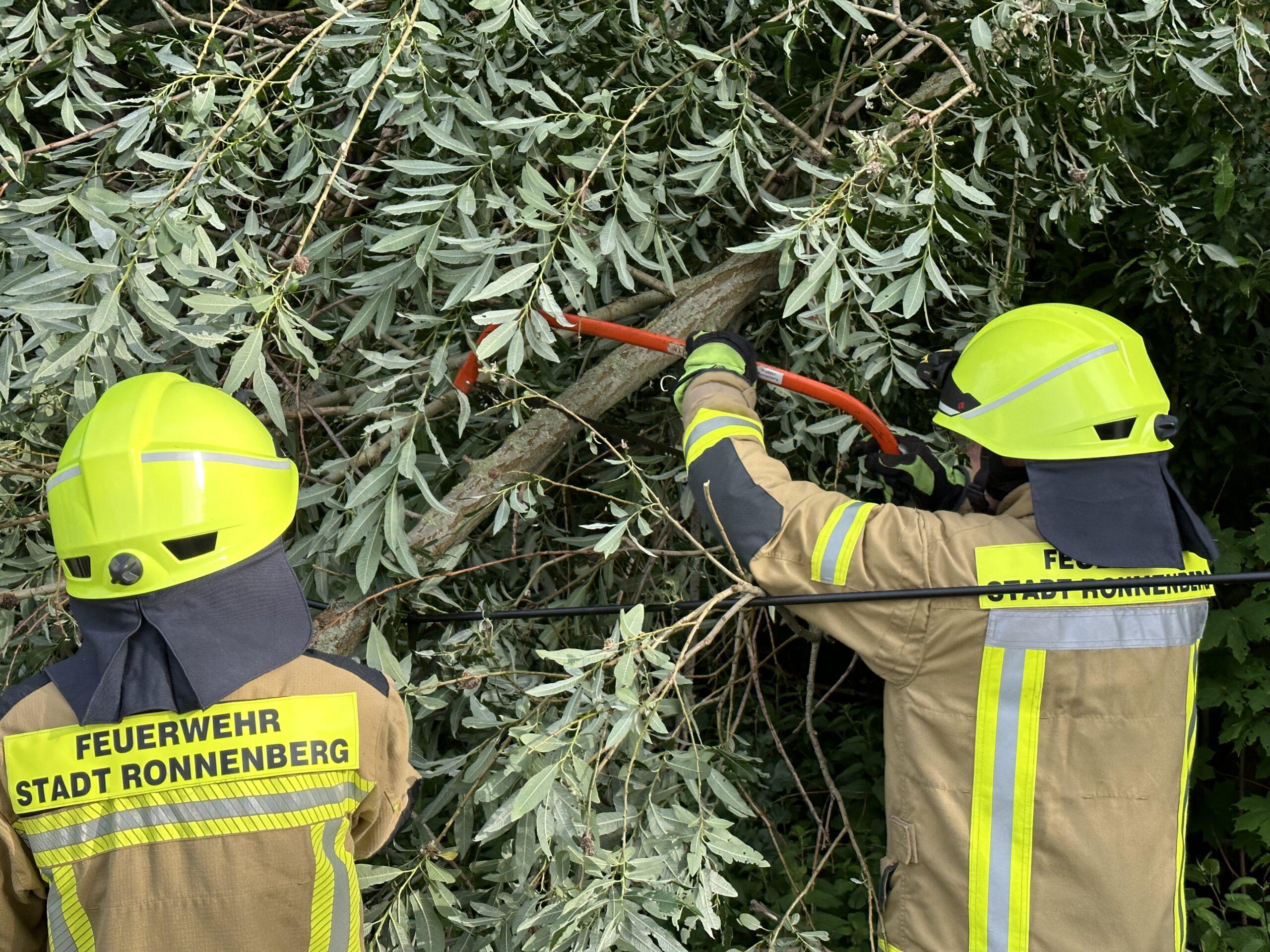 Baum droht auf Radweg zu fallen