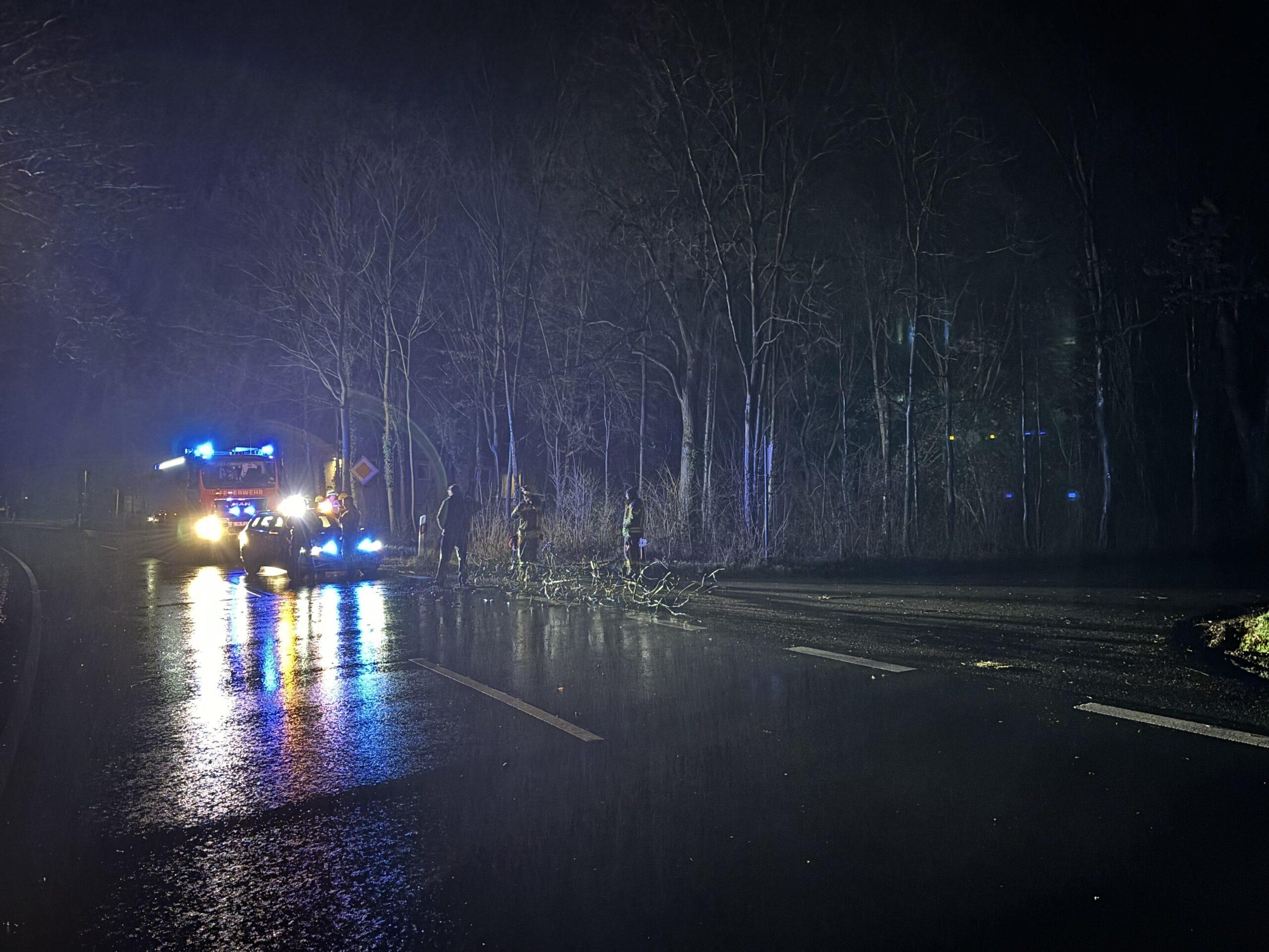 Baum auf Straße